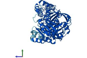 Protein Structure (PS) image for Chromosome 22 Open Reading Frame 28 (C22orf28) (AA 1-505) protein (His tag) (ABIN7560367)