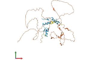 AlphaFold protein structure predicition of Mouse Recombinant Klf15 Protein, UniprotID Q9EPW2 (KLF15 Protein (AA 1-415) (His tag))