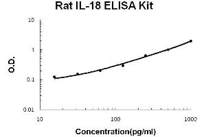 Rat IL-18 PicoKine ELISA Kit standard curve