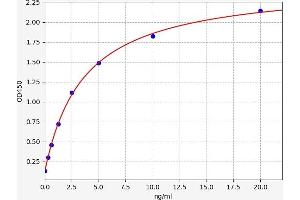 Ephrin A4 (EFNA4) ELISA Kit
