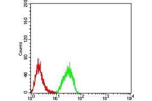 Flow cytometric analysis of Hela cells using PLD2 mouse mAb (green) and negative control (red).