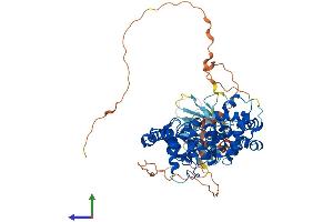 AlphaFold protein structure predicition of Human Recombinant TBC1D17 Protein, UniprotID Q9HA65
