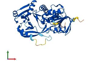 Protein Structure (PS) image for Pipecolic Acid Oxidase (PIPOX) (AA 1-390) protein (His tag) (ABIN7546199)