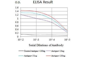 Black line: Control Antigen (100 ng),Purple line: Antigen (10 ng), Blue line: Antigen (50 ng), Red line:Antigen (100 ng) (BTLA 抗体  (AA 179-289))