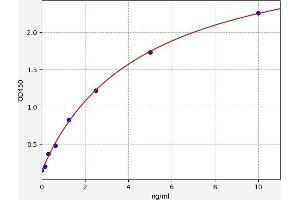 Typical standard curve (HSP gp96 ELISA 试剂盒)