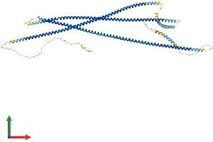 Protein Structure (PS) image for Coiled-Coil alpha-Helical Rod Protein 1 (CCHCR1) (AA 1-770) protein (His tag) (ABIN7559508)