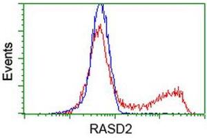 HEK293T cells transfected with either RC201454 overexpress plasmid (Red) or empty vector control plasmid (Blue) were immunostained by anti-RASD2 antibody (ABIN2453975), and then analyzed by flow cytometry. (RASD2 抗体)