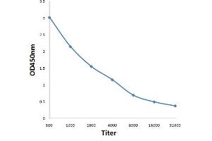 Antigen: 0. (PIK3C3 抗体  (pSer282))