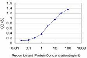 Detection limit for recombinant GST tagged FLT4 is approximately 0. (FLT4 抗体  (AA 34-133))