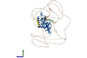 Protein Structure (PS) image for Cyclin T2 (CCNT2) (AA 1-730) protein (His tag) (ABIN7553020)