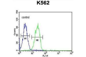 CLM1 Antibody (N-term) flow cytometric analysis of K562 cells (right histogram) compared to a negative control cell (left histogram). (IREM1 抗体  (N-Term))