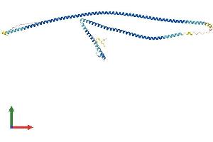 Protein Structure (PS) image for Growth Arrest-Specific 8 (GAS8) (AA 1-478) protein (His tag) (ABIN7557614)