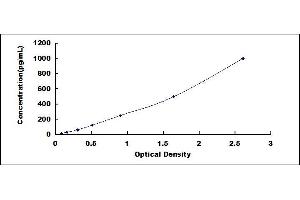 Typical standard curve (IFNB1 ELISA 试剂盒)