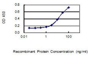 Detection limit for recombinant GST tagged DTWD1 is 0. (DTWD1 抗体  (AA 1-304))