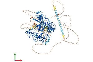 Protein Structure (PS) image for PAX Interacting (With Transcription-Activation Domain) Protein 1 (PAXIP1) (AA 1-1056) protein (His tag) (ABIN7564074)