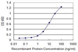 Detection limit for recombinant GST tagged LNX1 is 0. (LNX1 抗体  (AA 19-118))