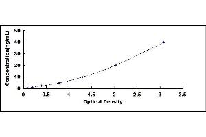 Typical standard curve (Kininogen (HMW) ELISA 试剂盒)