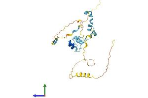 Protein Structure (PS) image for Mediator Complex Subunit 19 (MED19) (AA 1-244) protein (His tag) (ABIN7549282)