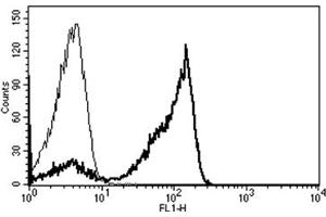 Flow Cytometry (FACS) image for anti-CD2 (CD2) antibody (ABIN1106014) (CD2 抗体)