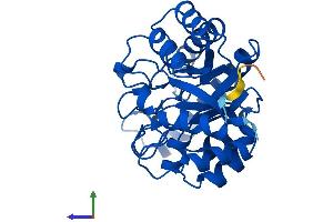 Protein Structure (PS) image for Hydroxypyruvate Isomerase (Putative) (HYI) (AA 1-277) protein (His tag) (ABIN7548490)