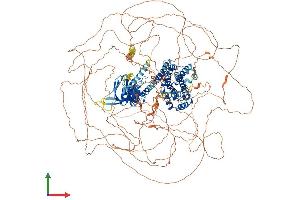 Protein Structure (PS) image for rho Guanine Nucleotide Exchange Factor (GEF) 5 (ARHGEF5) (AA 1-1581) protein (His tag) (ABIN7562134)