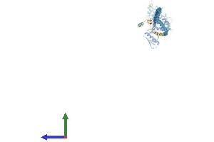 Protein Structure (PS) image for SWAP Switching B-Cell Complex 70kDa Subunit (SWAP70) (AA 1-585) protein (His tag) (ABIN7557898)