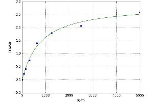 Proteolipid Protein 1 (PLP1) ELISA Kit