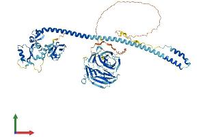 AlphaFold protein structure predicition of Mouse Recombinant Trim56 Protein, UniprotID Q80VI1