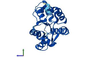 Protein Structure (PS) image for Adenylate Kinase 1 (AK1) (AA 1-194) protein (His tag) (ABIN7556206)