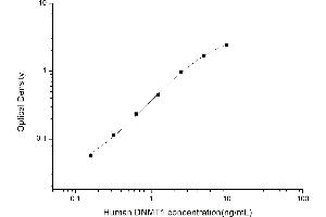 DNMT1 ELISA 试剂盒