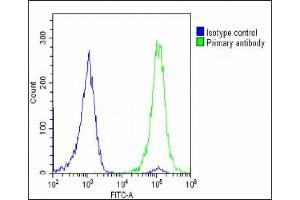 Flow Cytometry (FACS) image for anti-Solute Carrier Family 2 (Facilitated Glucose Transporter), Member 3 (SLC2A3) (AA 432-463) antibody (ABIN6242874)
