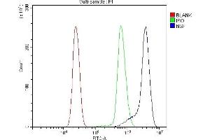 Flow Cytometry analysis of U937 cells using anti-NSF antibody (ABIN7601630). (NSF 抗体  (AA 4-636))