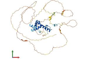 Protein Structure (PS) image for SRY (Sex Determining Region Y)-Box 10 (SOX10) (AA 1-466) protein (His tag) (ABIN7546194)