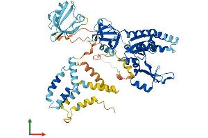 Protein Structure (PS) image for Membrane Protein, Palmitoylated 2 (MAGUK P55 Subfamily Member 2) (MPP2) (AA 1-576) protein (His tag) (ABIN7549508)