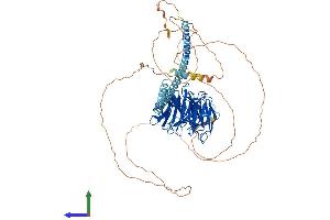 AlphaFold protein structure predicition of Mouse Recombinant Tle3 Protein, UniprotID Q08122 (TLE3 Protein (AA 1-772) (His tag))