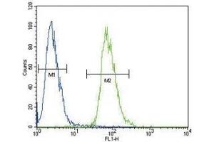ETV5 antibody flow cytometric analysis of 293 cells (green) compared to a negative control (blue). (ETV5 抗体  (AA 8-36))