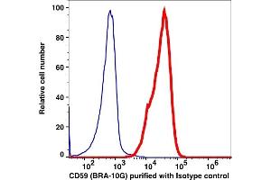 Flow Cytometry (FACS) image for anti-CD59 (CD59) antibody (ABIN3071853) (CD59 抗体)