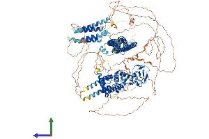 AlphaFold protein structure predicition of Human Recombinant ARHGAP29 Protein, UniprotID Q52LW3