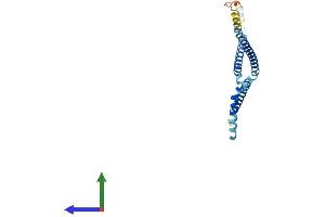 AlphaFold protein structure predicition of Mouse Recombinant Haus2 Protein, UniprotID Q9CQS9