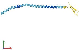 Protein Structure (PS) image for SLIT and NTRK-Like Family, Member 2 (SLITRK2) (AA 1-111) protein (His tag) (ABIN7544605)