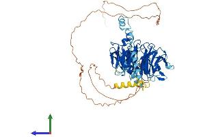 AlphaFold protein structure predicition of Human Recombinant DCAF8L1 Protein, UniprotID A6NGE4 (DCAF8L1 Protein (AA 1-600) (His tag))