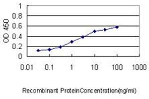 Detection limit for recombinant GST tagged CDC2L2 is approximately 0. (Cyclin-Dependent Kinase 11A (CDK11A) (AA 681-780) 抗体)