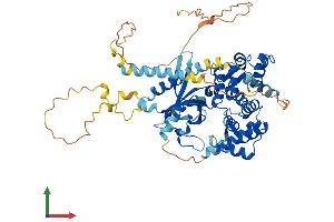 Protein Structure (PS) image for Calcyphosine 2 (CAPS2) (AA 1-550) protein (His tag) (ABIN7558898)