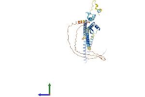 AlphaFold protein structure predicition of Human Recombinant LUC7L3 Protein, UniprotID O95232