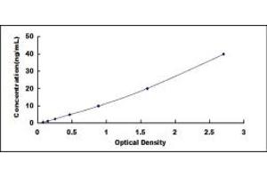 Typical standard curve (B3GALT1 ELISA 试剂盒)