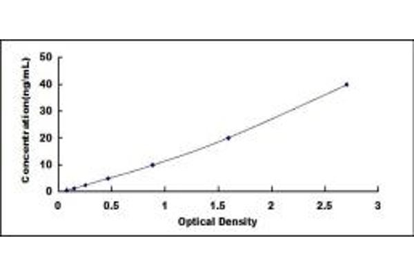 B3GALT1 ELISA 试剂盒