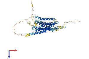 AlphaFold protein structure predicition of Mouse Recombinant Gper1 Protein, UniprotID Q8BMP4