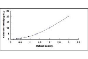 Typical standard curve (F2RL3 ELISA 试剂盒)