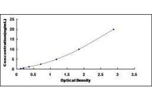 ER Lipid Raft Associated 1 (ERLIN1) ELISA Kit