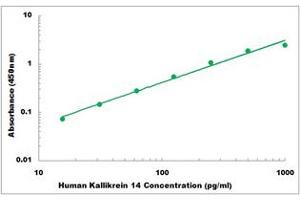 Representative Standard Curve (Kallikrein 14 ELISA 试剂盒)